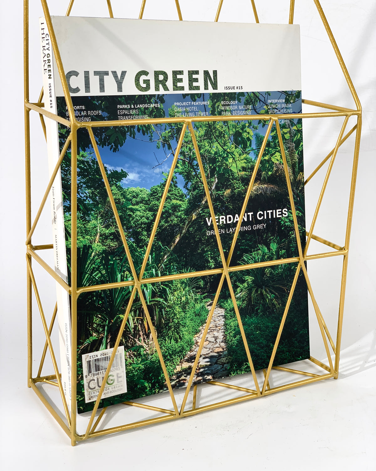 Gold Magazine rack - Home Decor - Tumbleweed Plants - Online Plant Delivery Singapore
