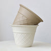 Ice Cream Cone Planter - Planter - 5815663443248 - Tumbleweed Plants - Online Plant Delivery Singapore