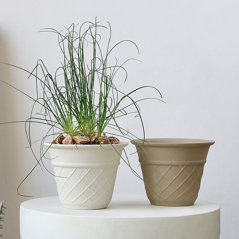 Ice Cream Cone Planter - Planter - 5815663443248 - Tumbleweed Plants - Online Plant Delivery Singapore