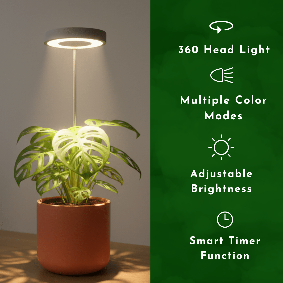 HALO Plant Lights - Stems - Plant Lights - 5843186099705 - Tumbleweed Plants - Online Plant Delivery Singapore