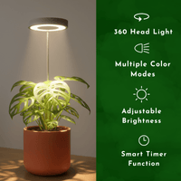HALO Plant Lights - Stems - Plant Lights - 5843186099705 - Tumbleweed Plants - Online Plant Delivery Singapore