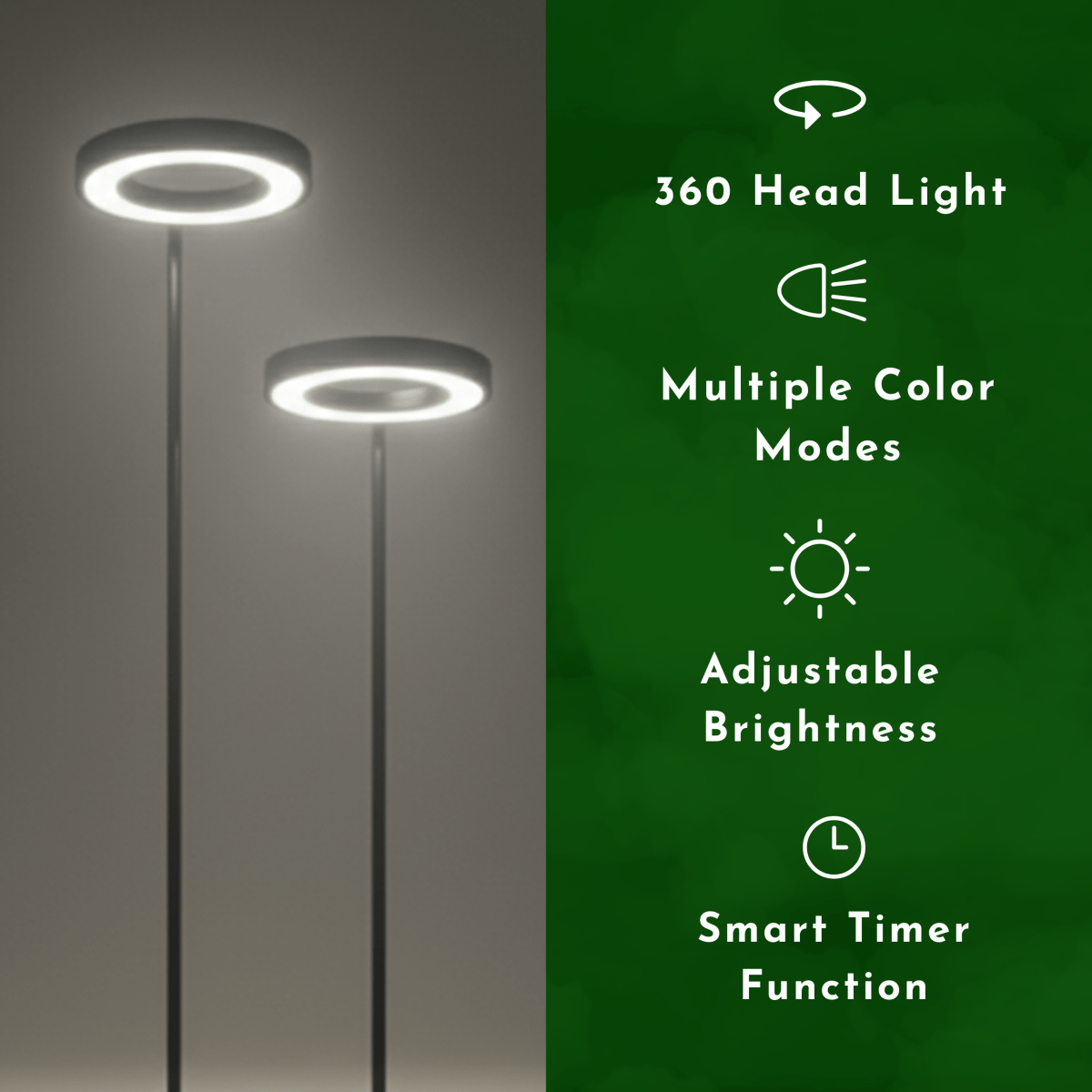 HALO Plant Light - XL - Plant Lights - 5826490026810 - Tumbleweed Plants - Online Plant Delivery Singapore