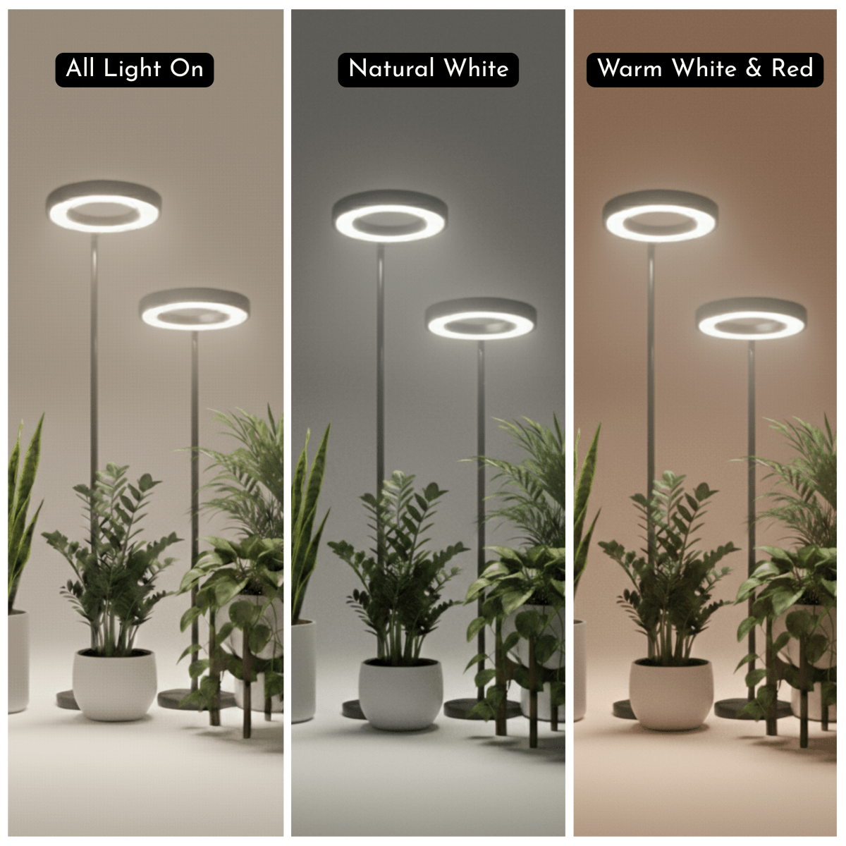 HALO Plant Light - XL - Plant Lights - 5826490026810 - Tumbleweed Plants - Online Plant Delivery Singapore