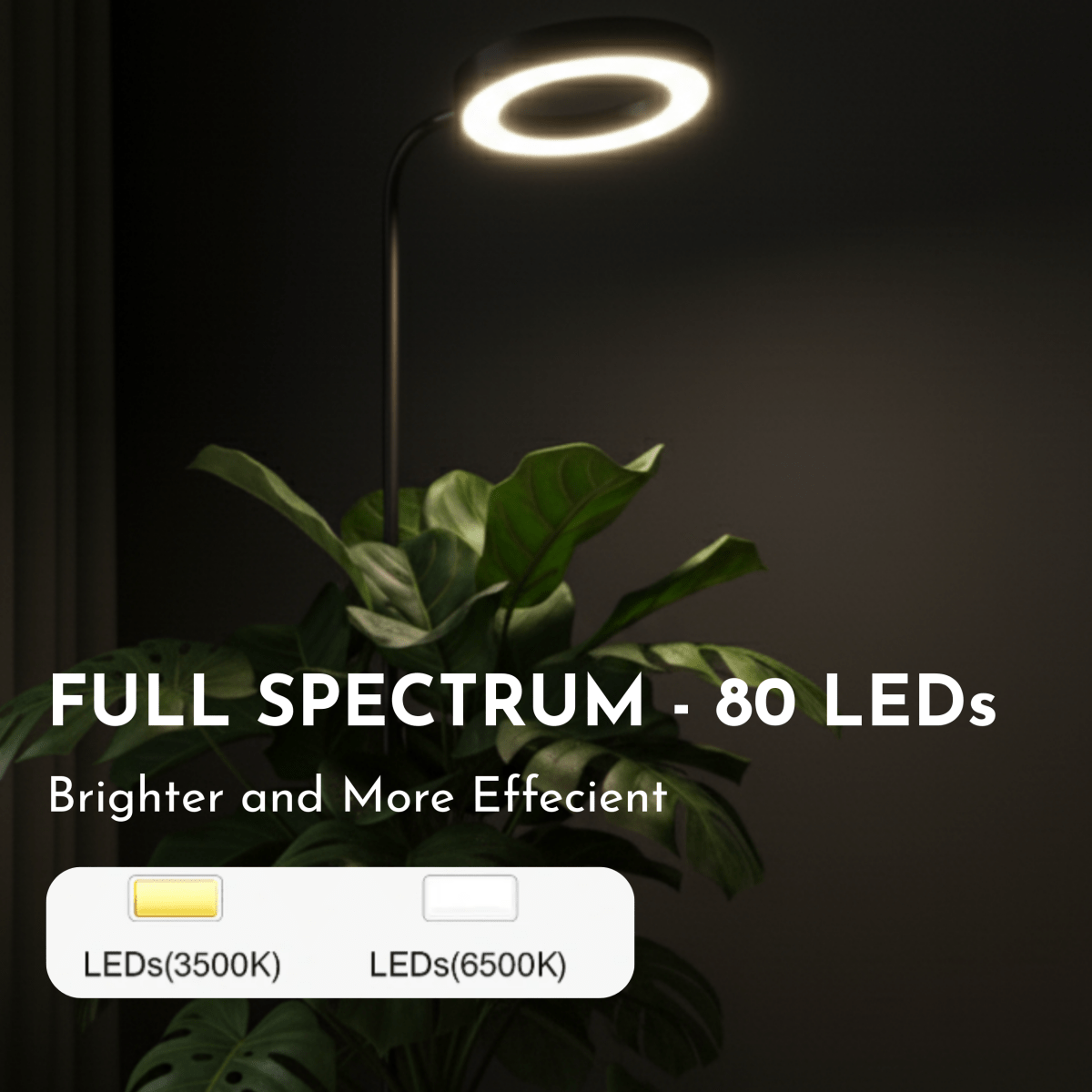 HALO Plant Light - XL - Plant Lights - 5826490026810 - Tumbleweed Plants - Online Plant Delivery Singapore