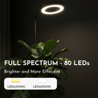 HALO Plant Light - XL - Plant Lights - 5826490026810 - Tumbleweed Plants - Online Plant Delivery Singapore