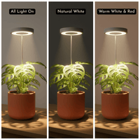 HALO Plant Lights - Stems - Plant Lights - 5843186099705 - Tumbleweed Plants - Online Plant Delivery Singapore