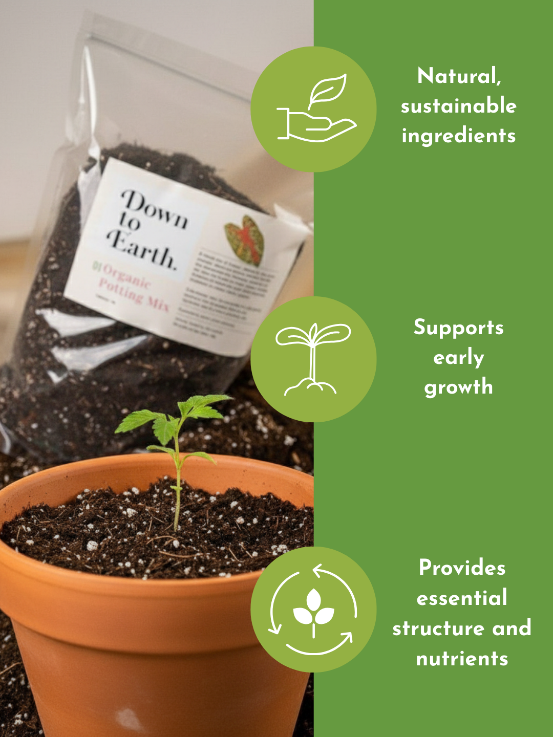 Down To Earth. 01 Organic Potting Mix