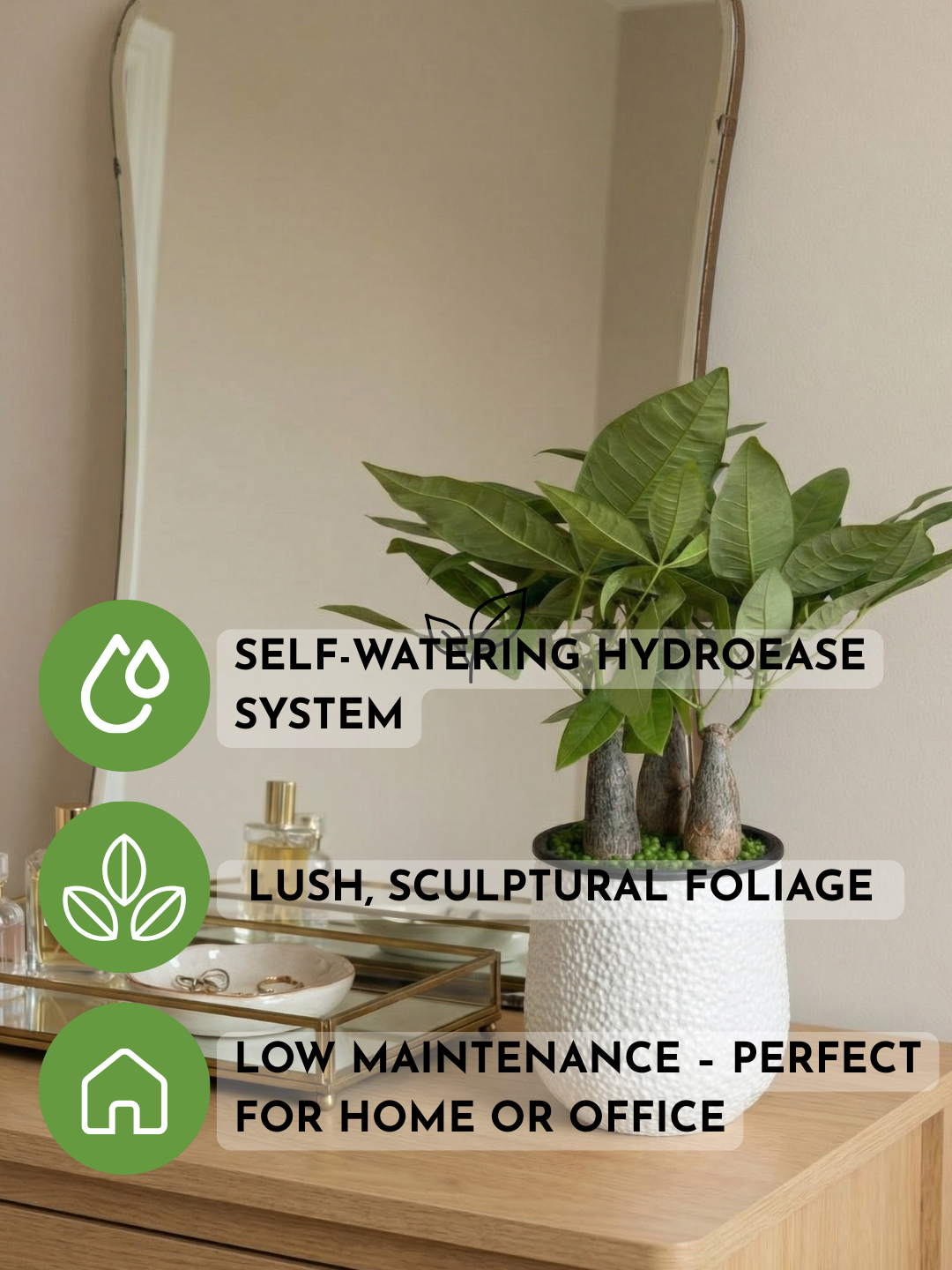 Money Tree Skyrocket HydroEase