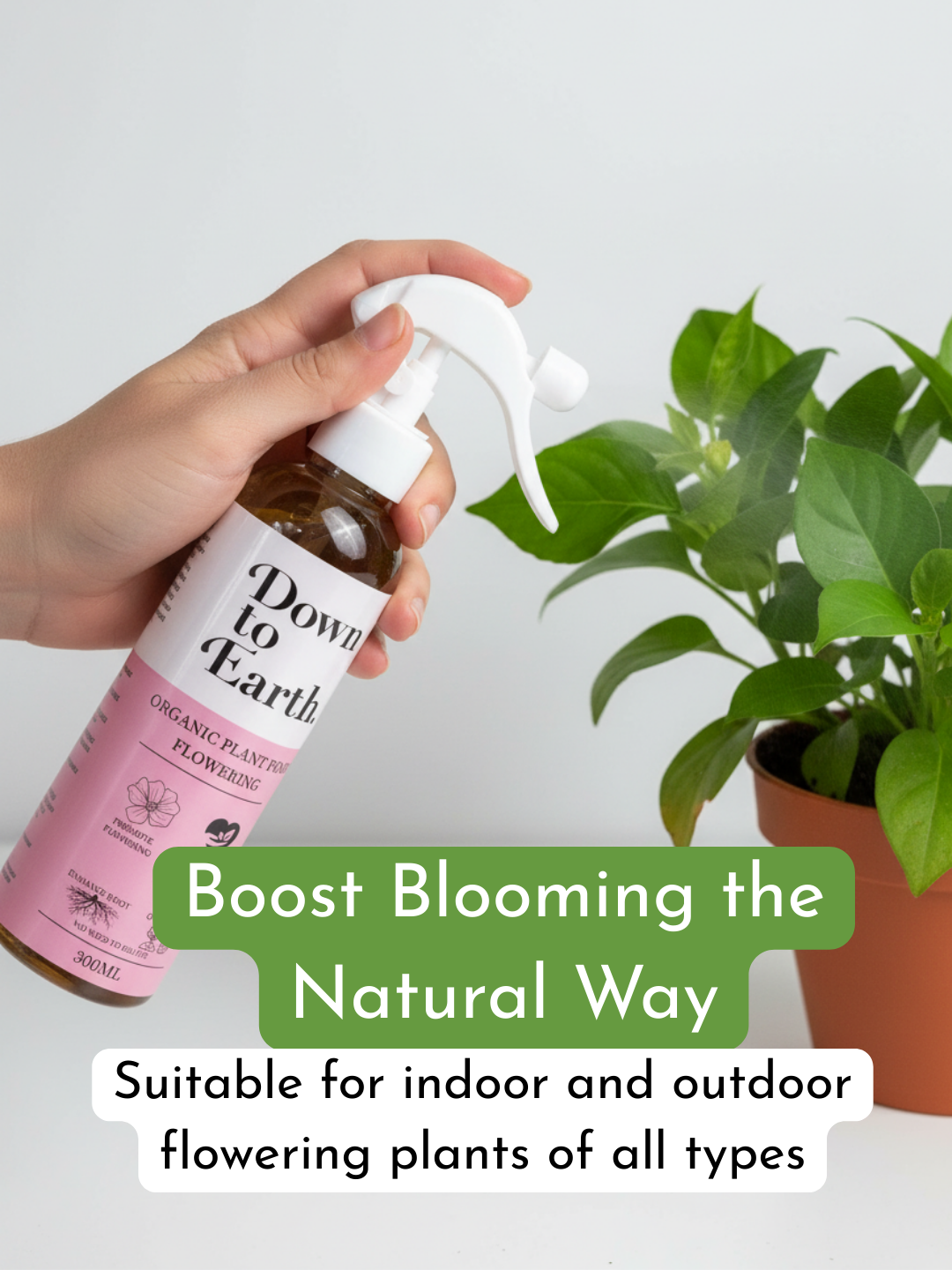 Down To Earth. Flowering Plant Food