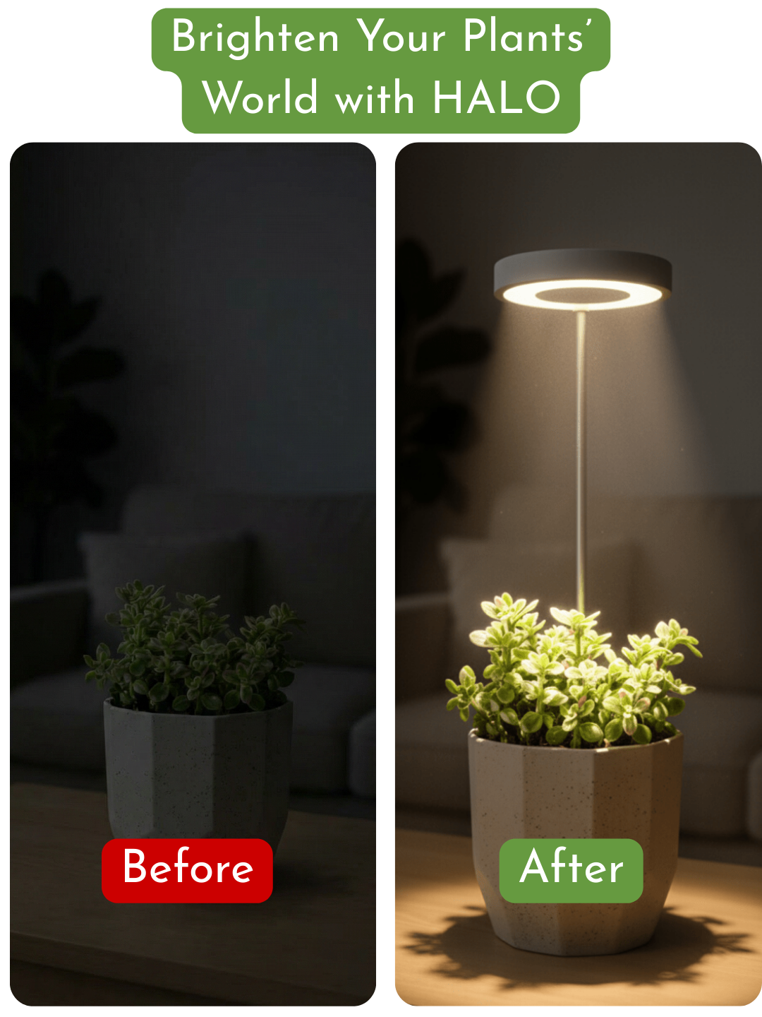 HALO Plant Lights - Stems