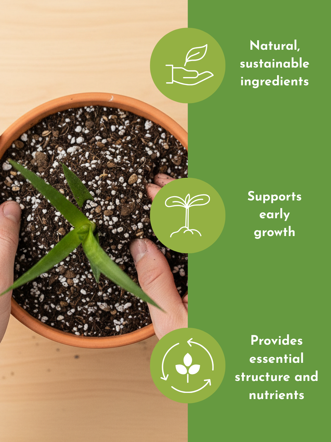 Down To Earth. 02 Organic Cacti and Succulent Potting Mix