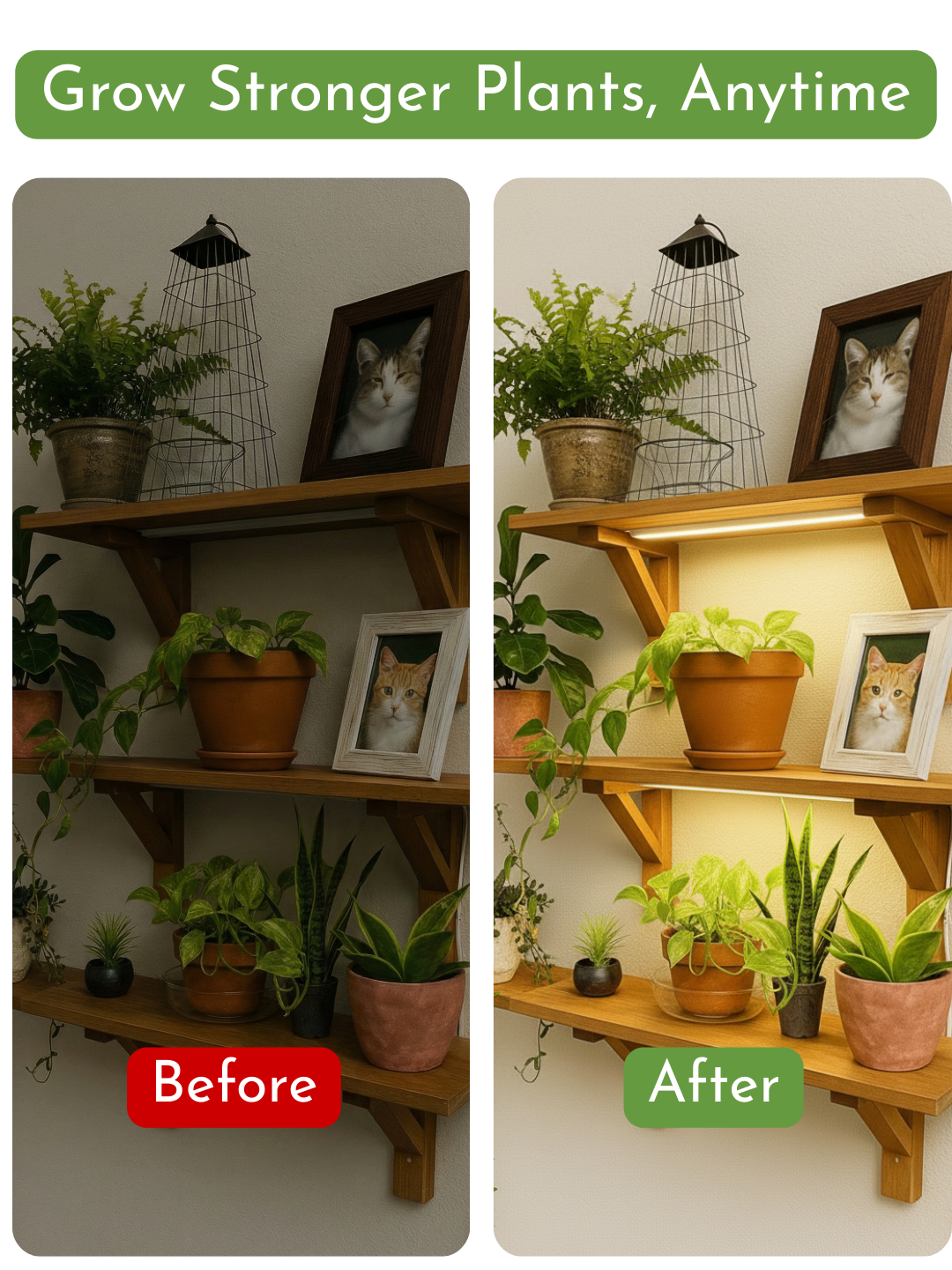 CANOPY LED Grow Light