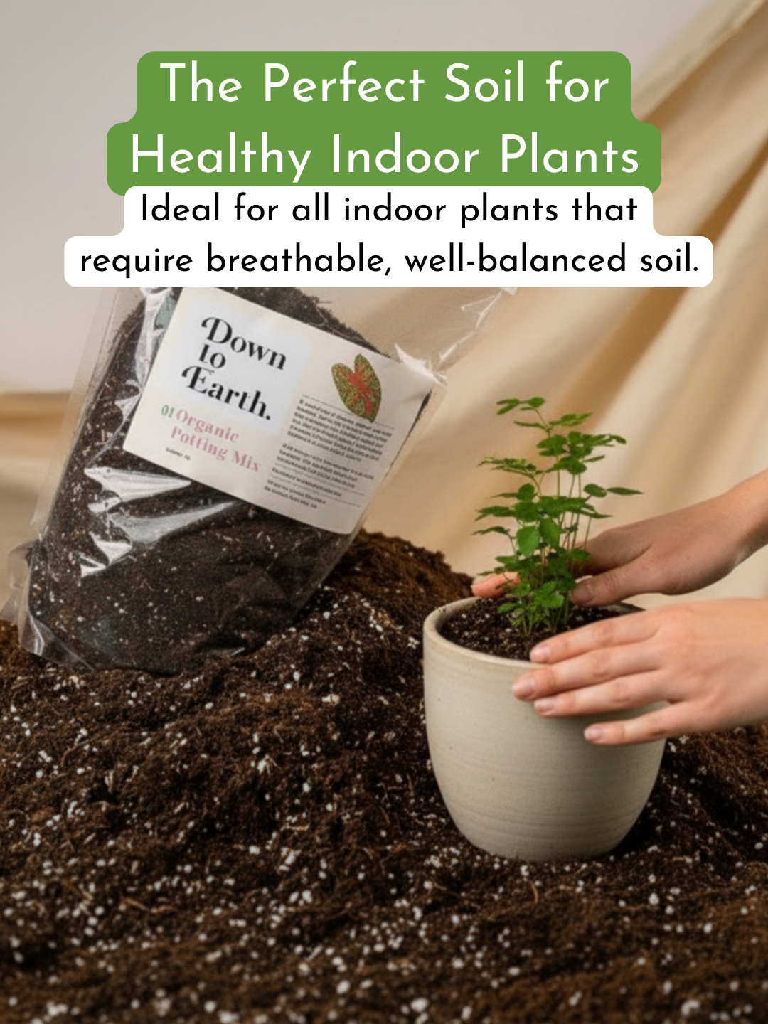 Down To Earth. 01 Organic Potting Mix