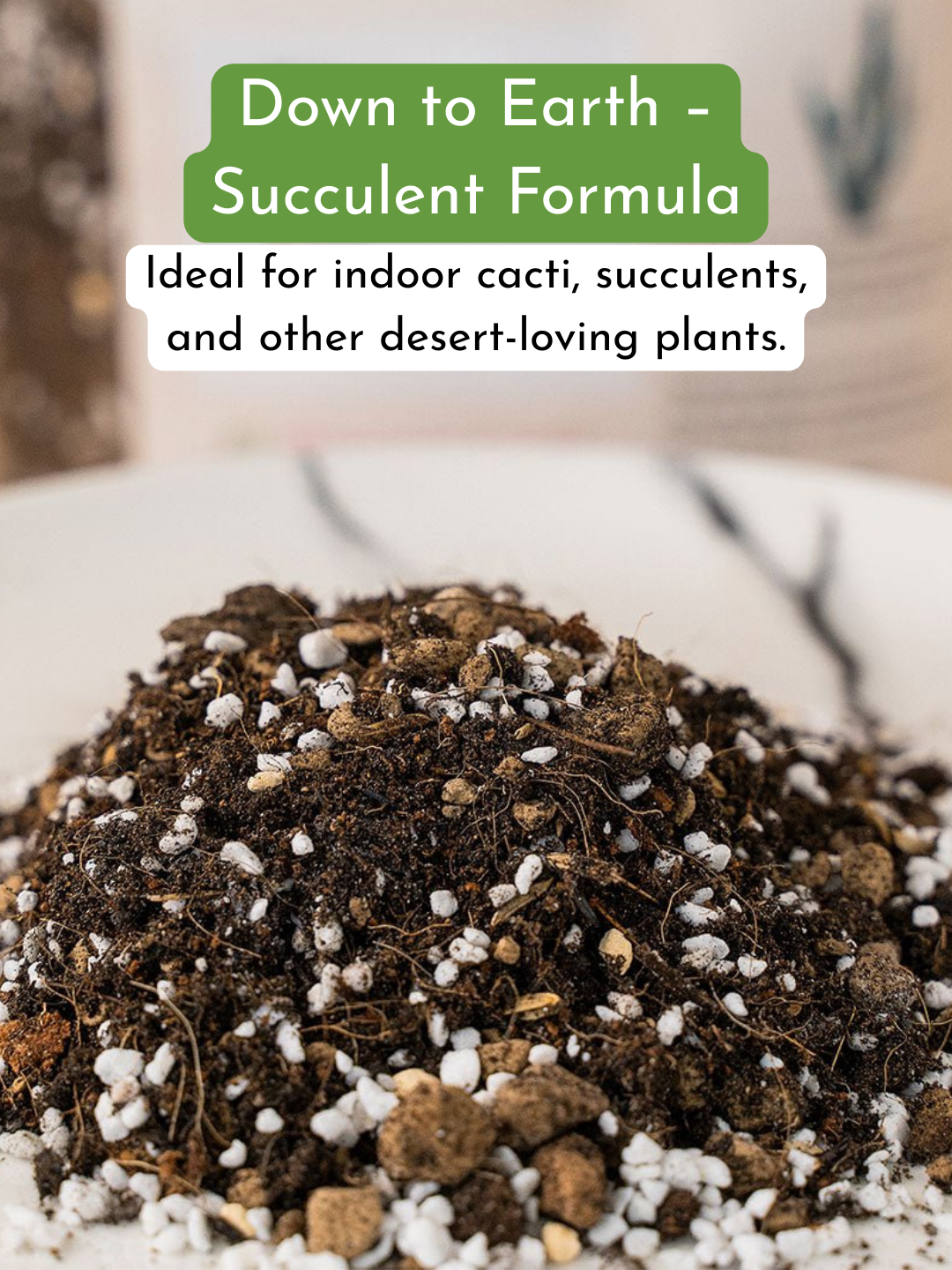 Down To Earth. 02 Organic Cacti and Succulent Potting Mix