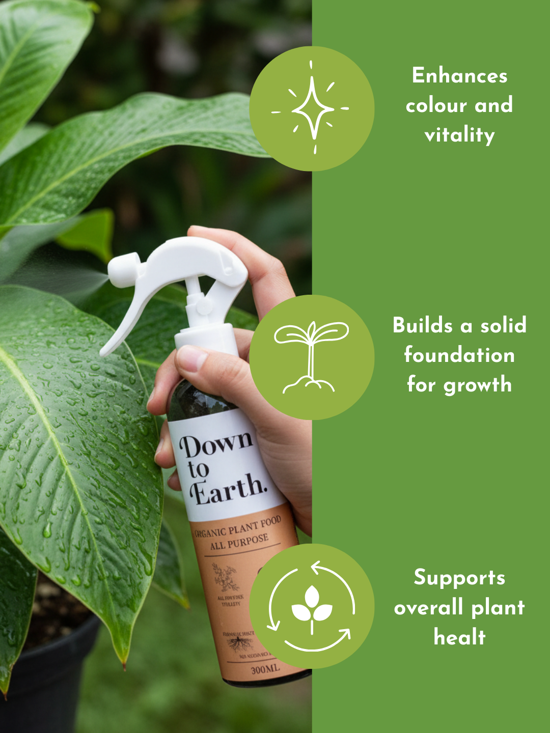 Down To Earth. All Purpose Plant Food