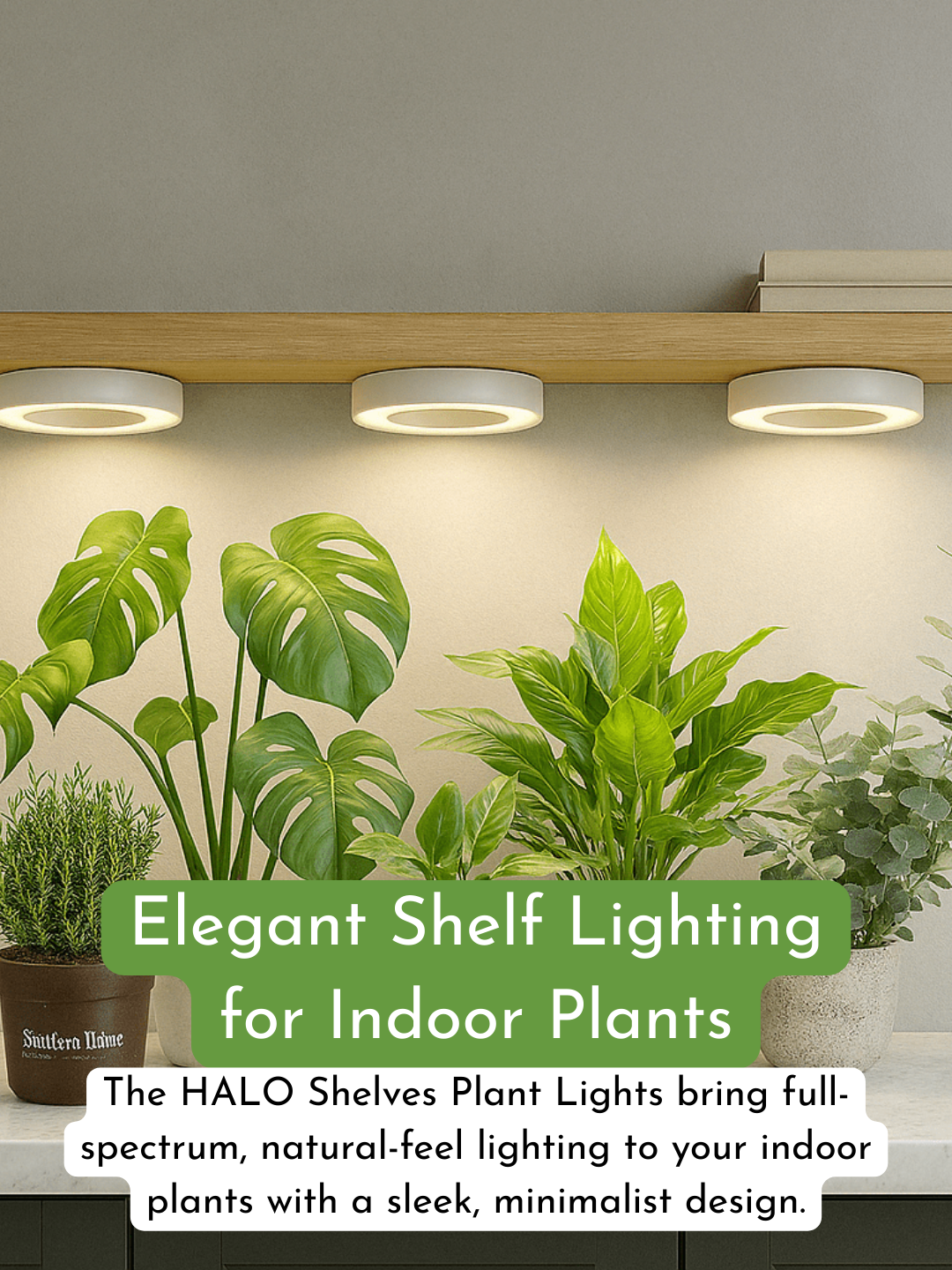 HALO Shelves Plant Lights