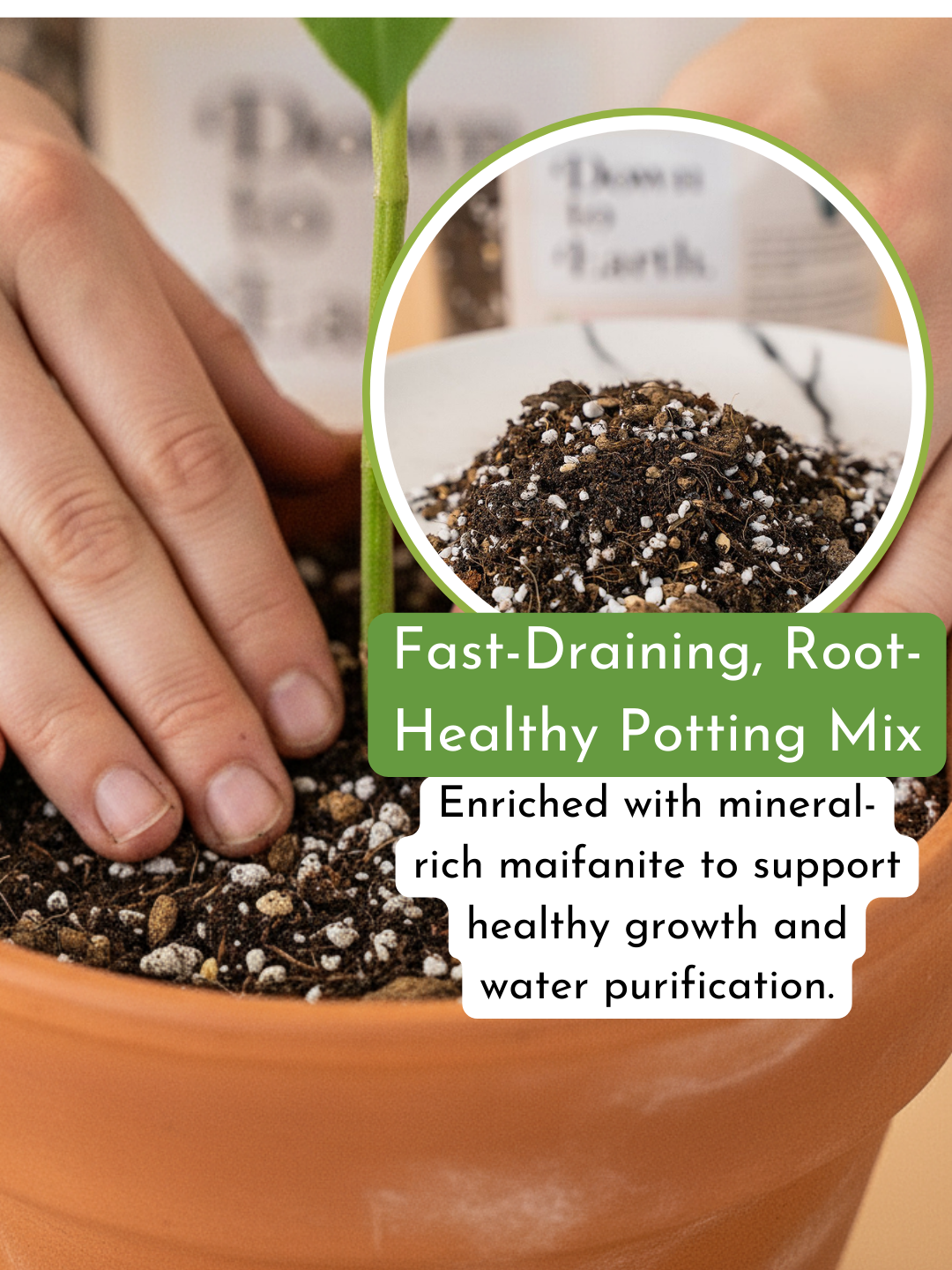 Down To Earth. 02 Organic Cacti and Succulent Potting Mix