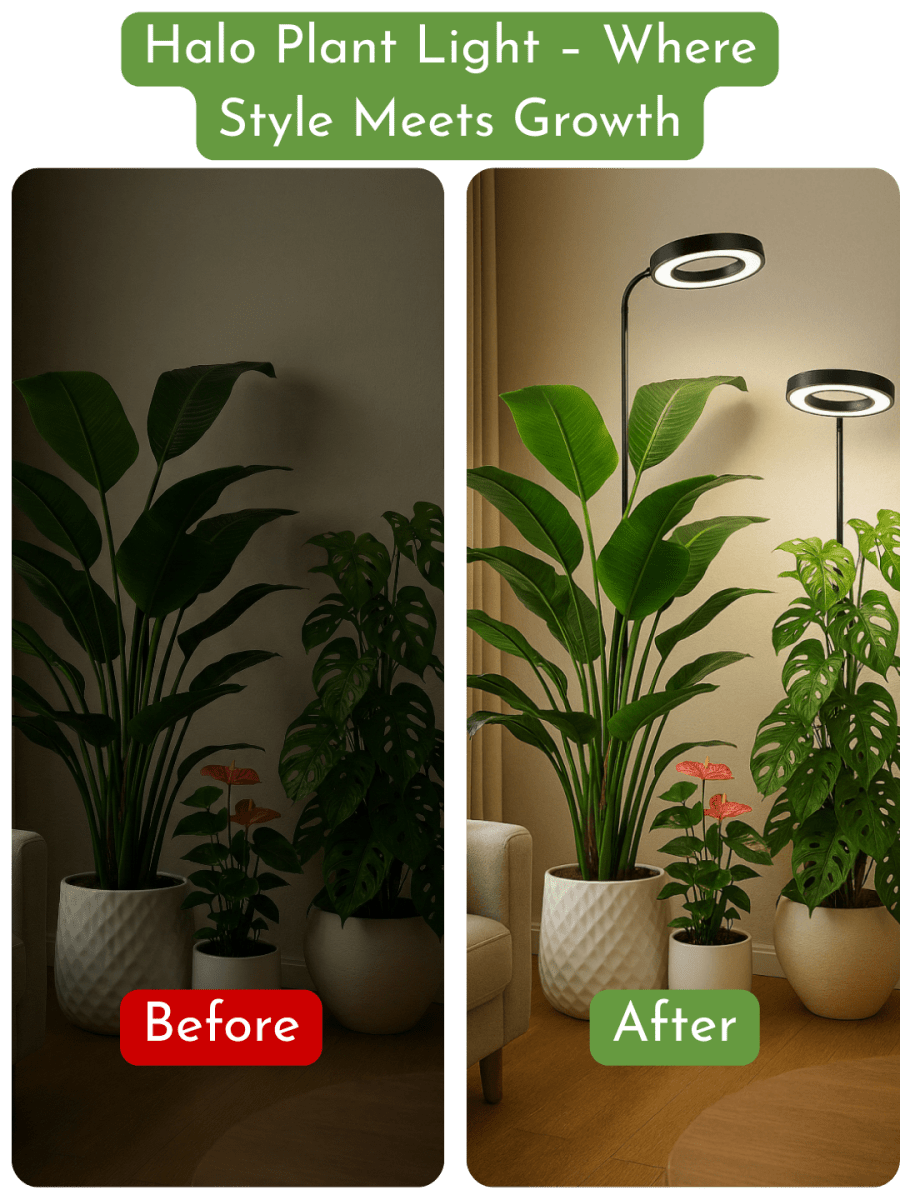 HALO Plant Light - XL - Plant Lights - 5826490026810 - Tumbleweed Plants - Online Plant Delivery Singapore