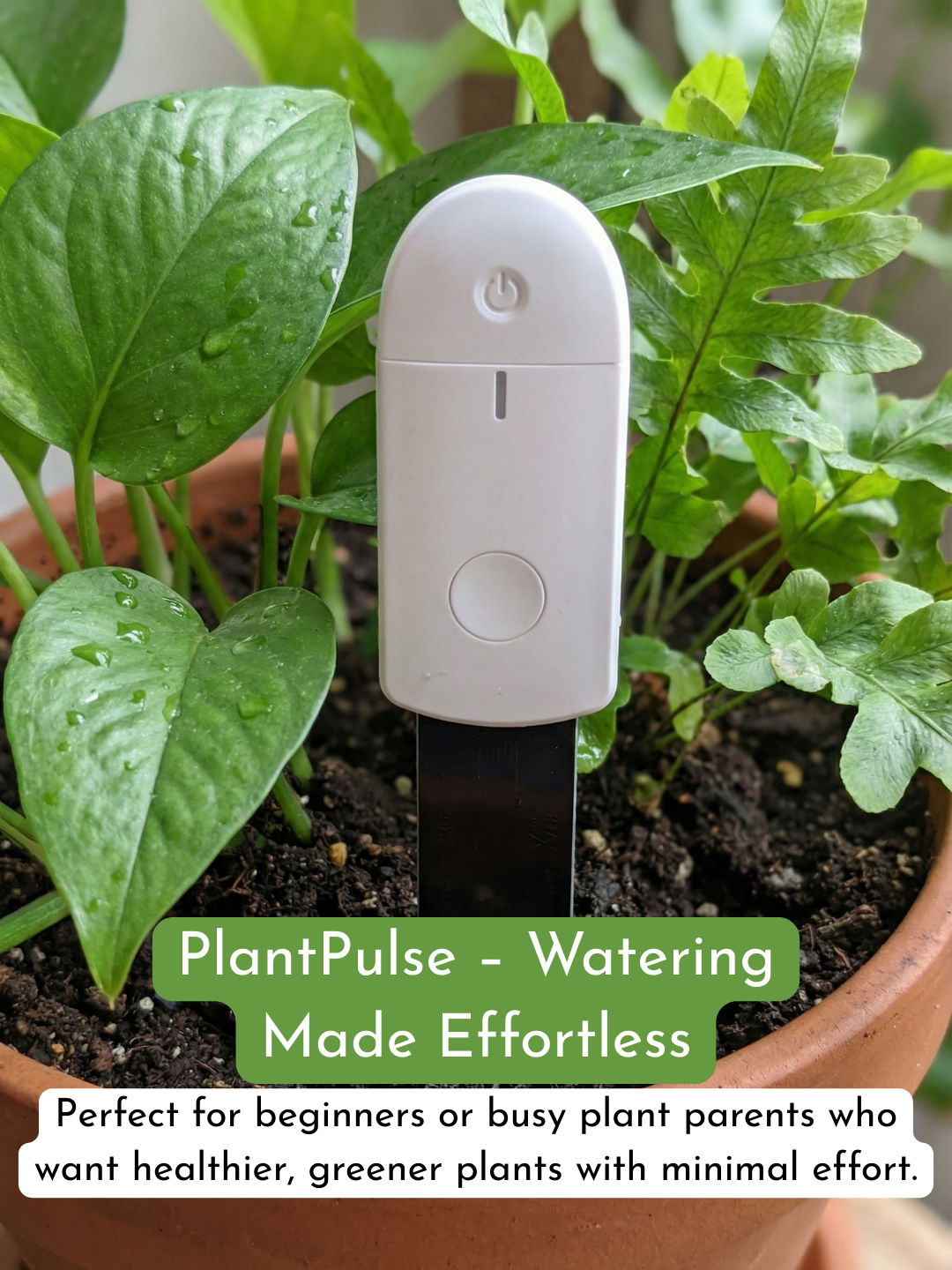 PlantPulse Watering Meter
