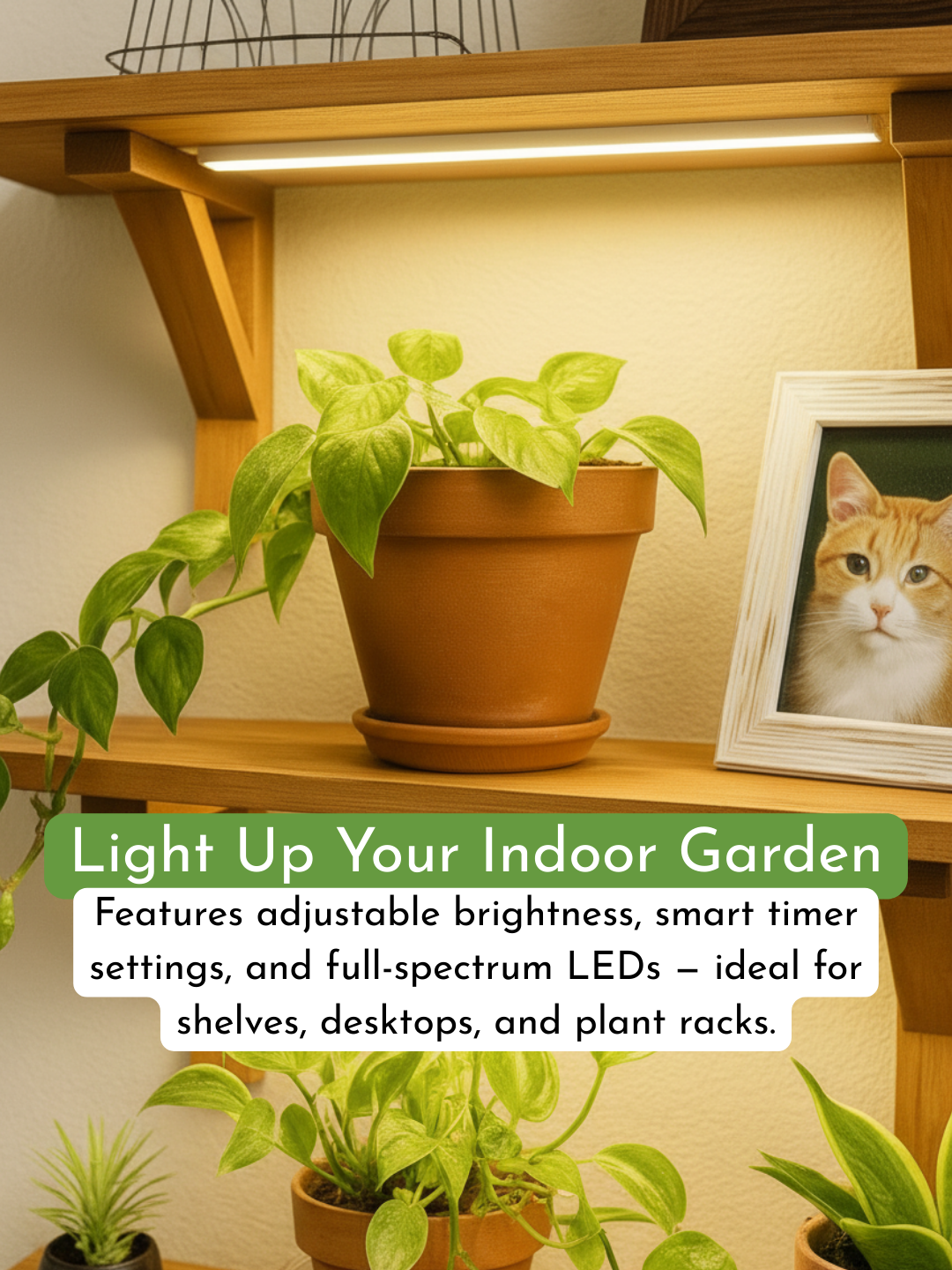 CANOPY LED Grow Light