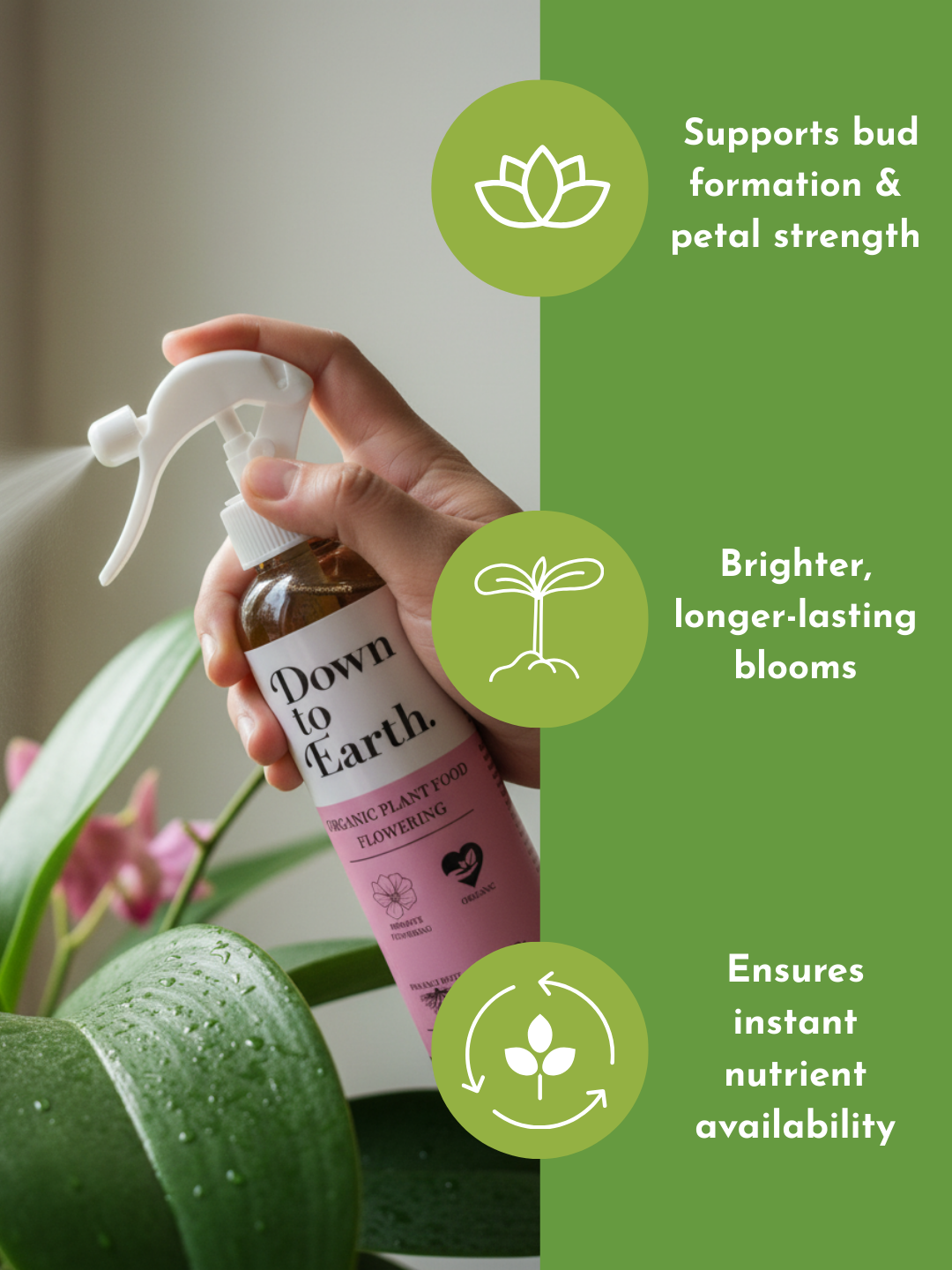 Down To Earth. Flowering Plant Food