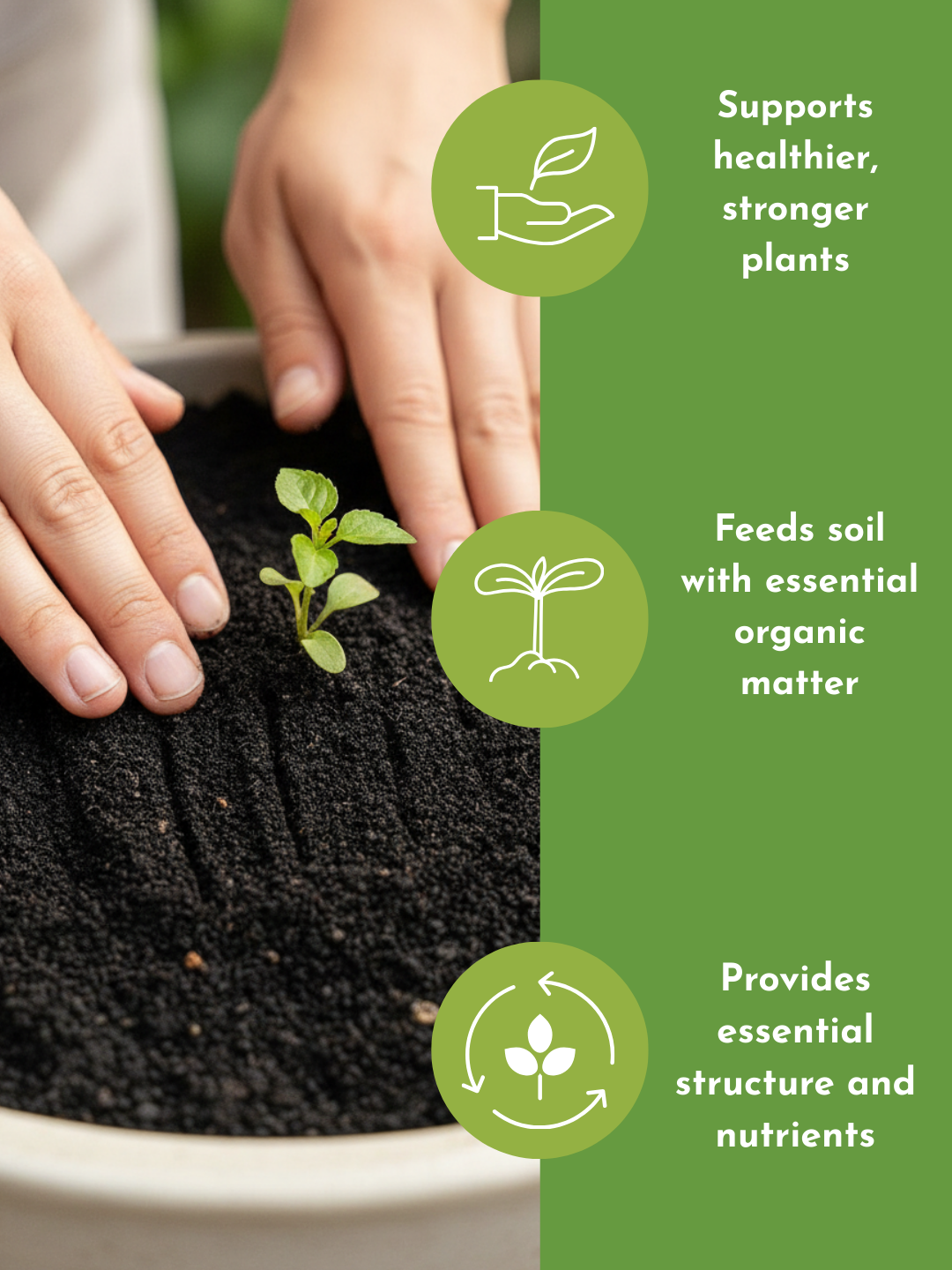 Down To Earth. 03 Organic Compost