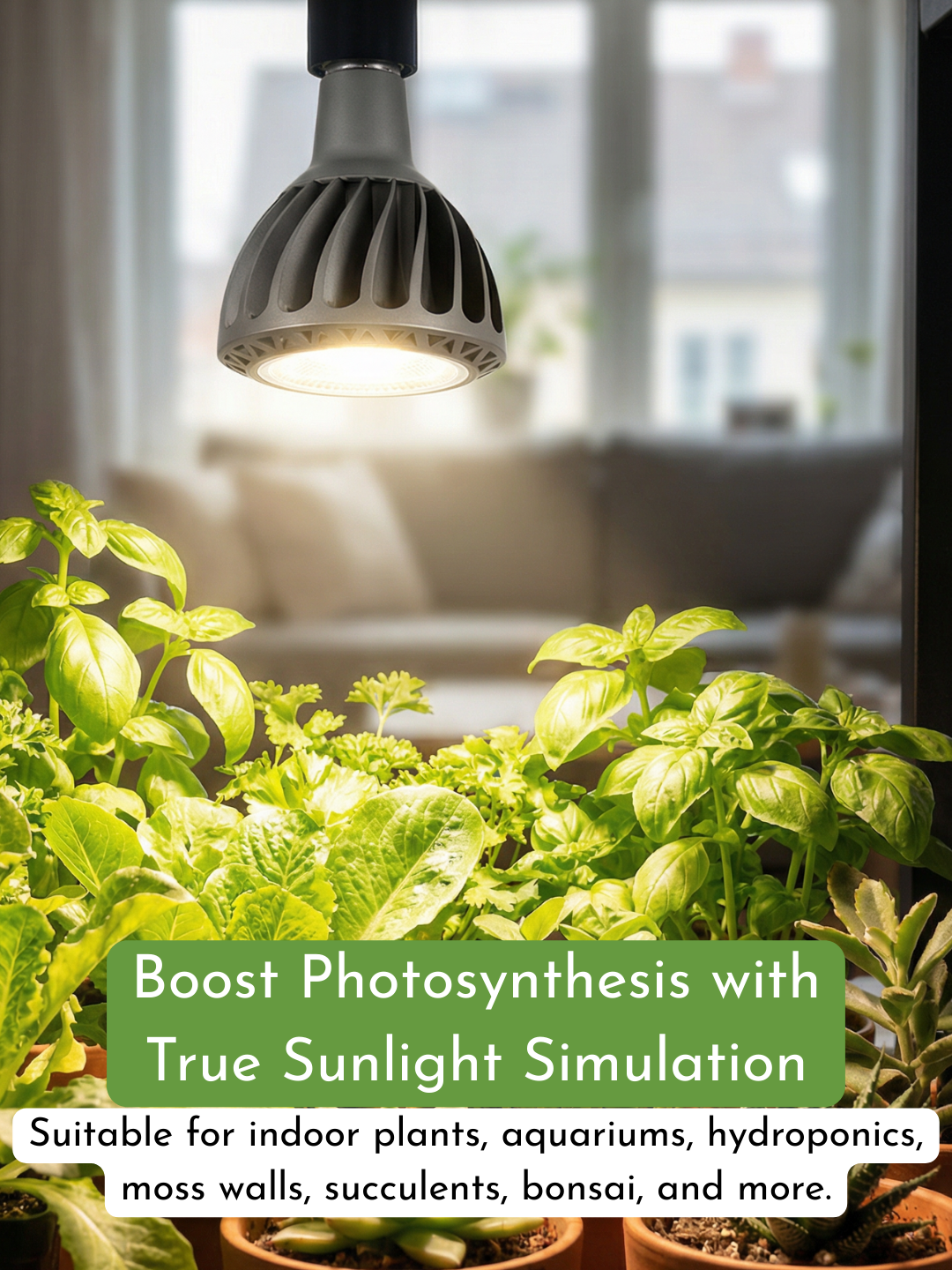 LUMI Grow Lights (Bulb E27)