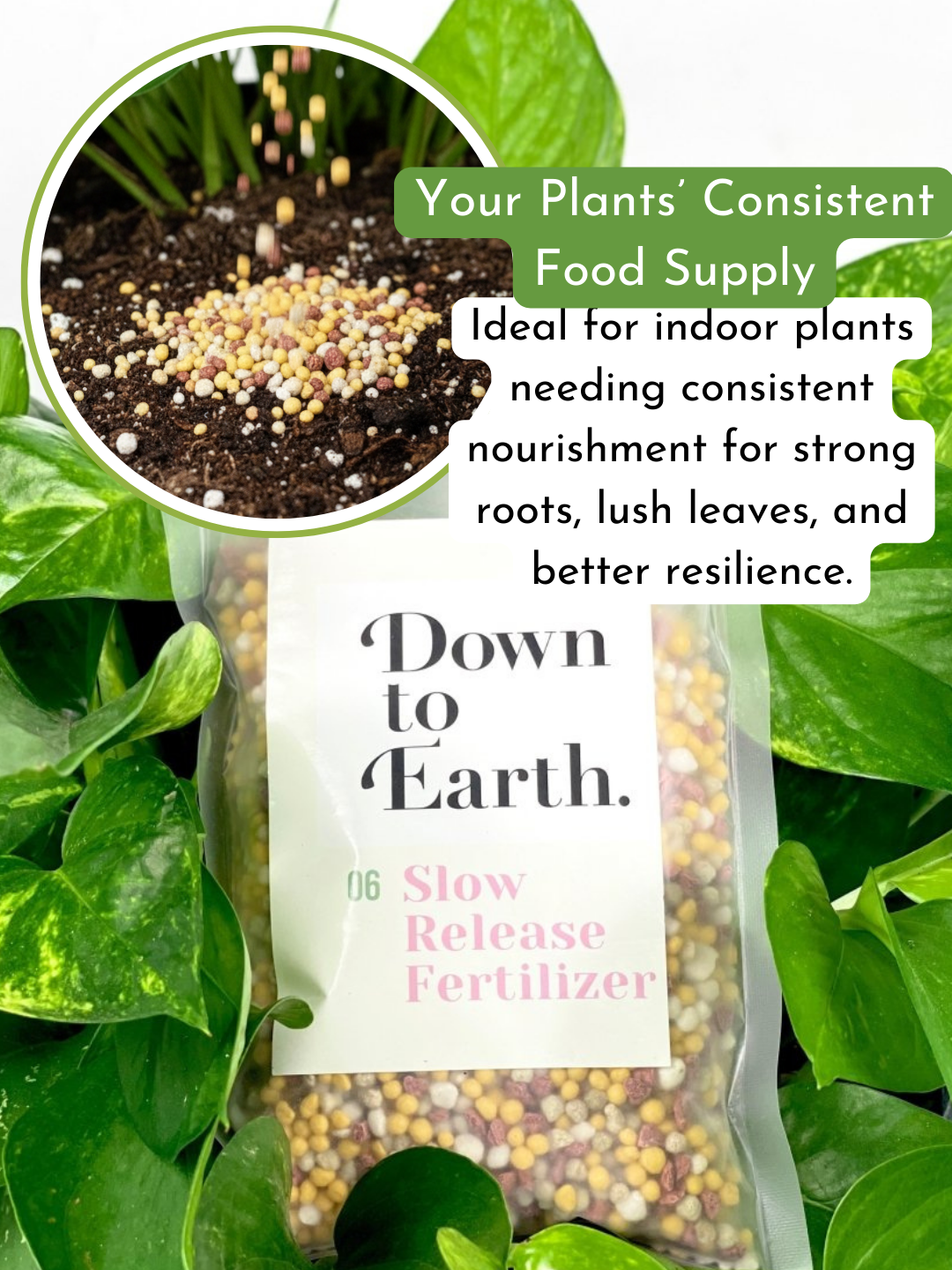 Down To Earth. 06 Slow Release Fertilizer