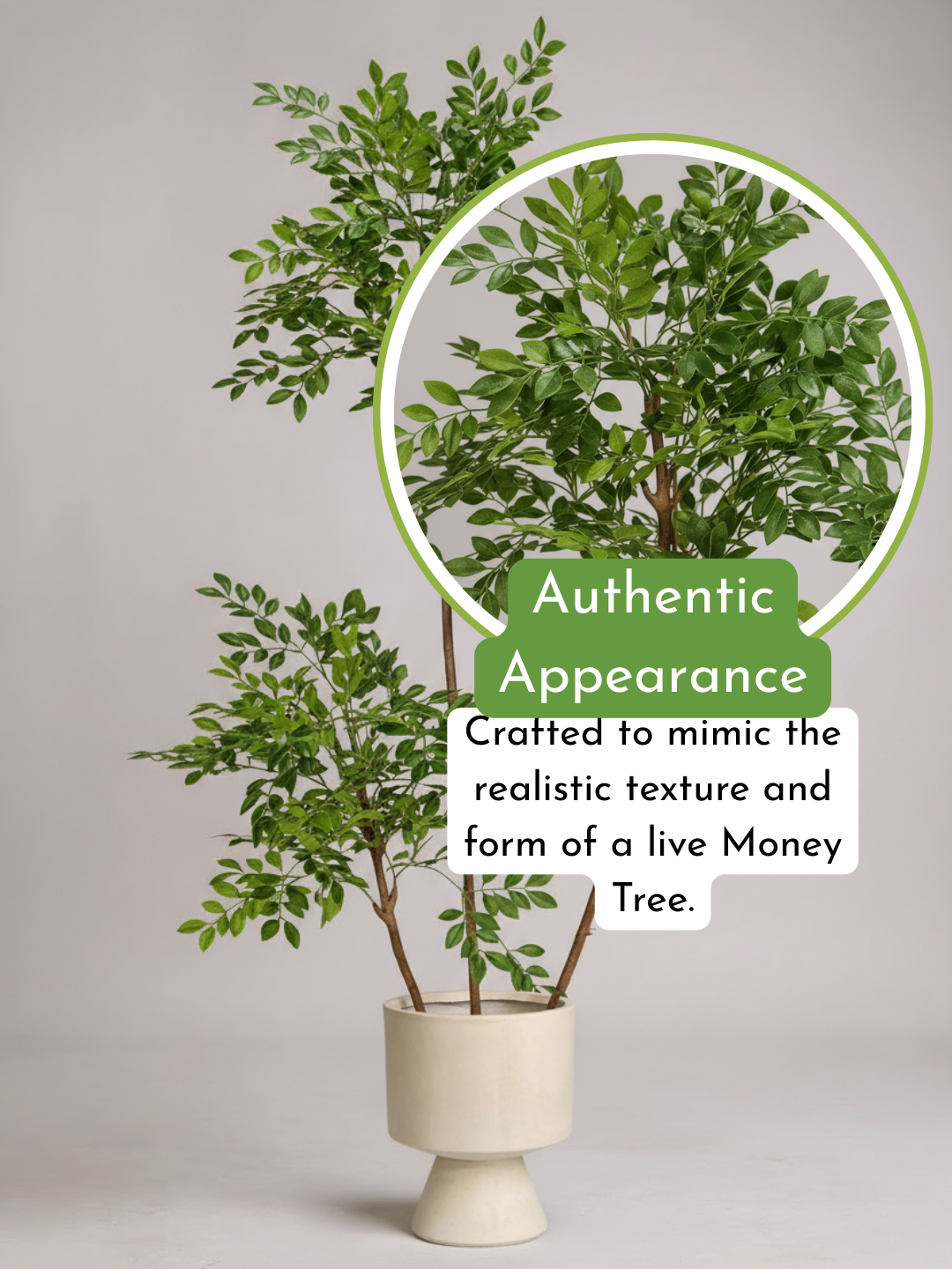 Chinese Money Tree (Life-like Artificial)