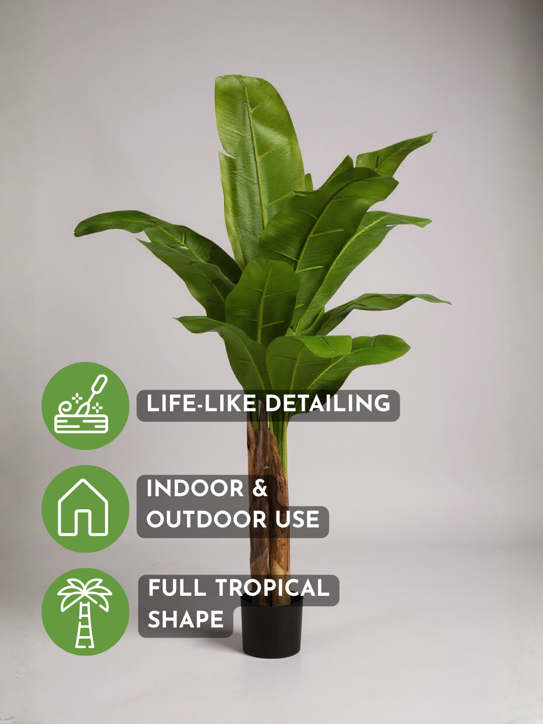 Banana Tree (Life-life Artificial)