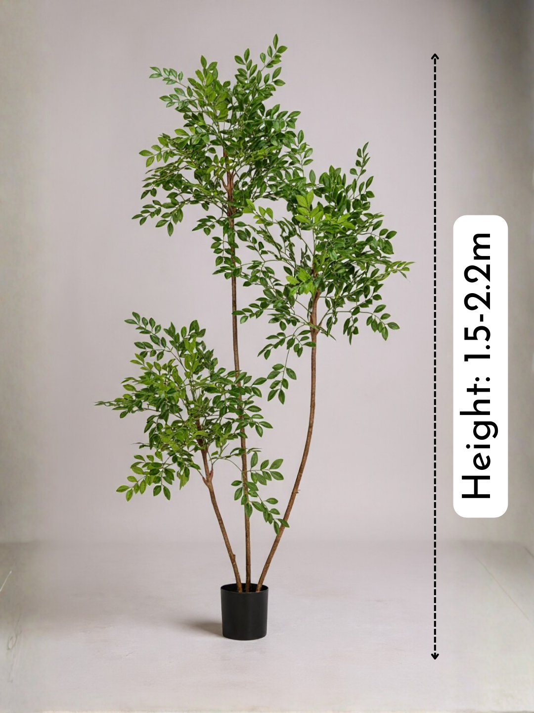 Chinese Money Tree (Life-like Artificial)