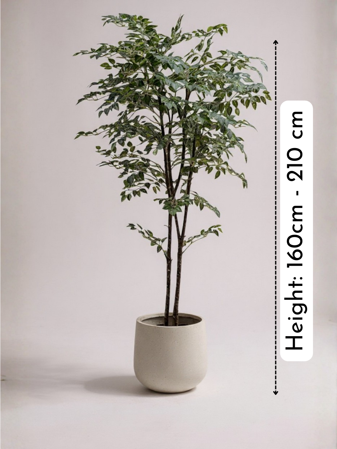 Banyan Tree - Real-Trunk Artificial