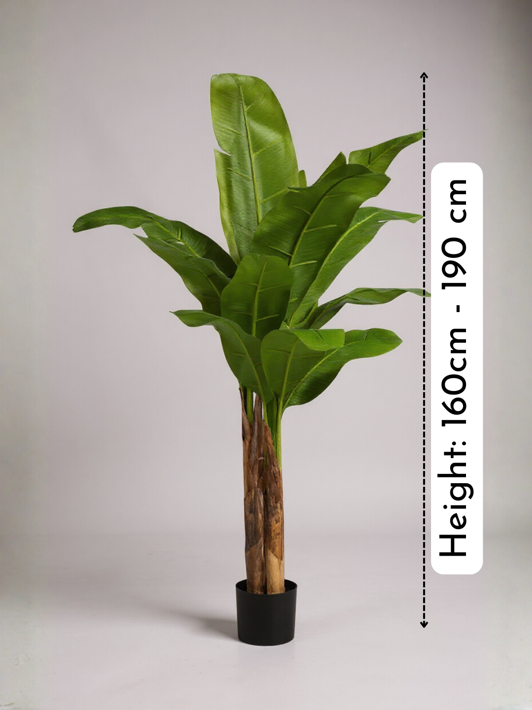 Banana Tree (Life-life Artificial)