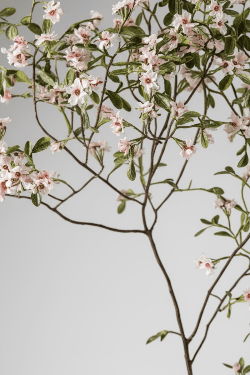 Island Tree - Real - Trunk Artificial - Potted plant - 5516314535781 - Tumbleweed Plants - Online Plant Delivery Singapore