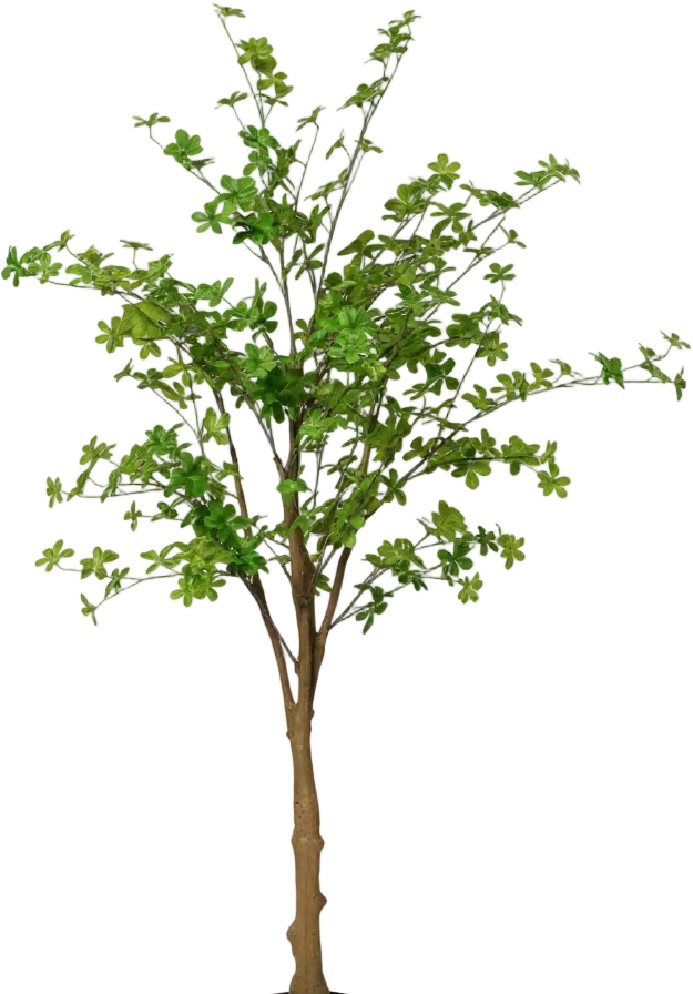 Japanese Andromeda (Life-like Artificial)