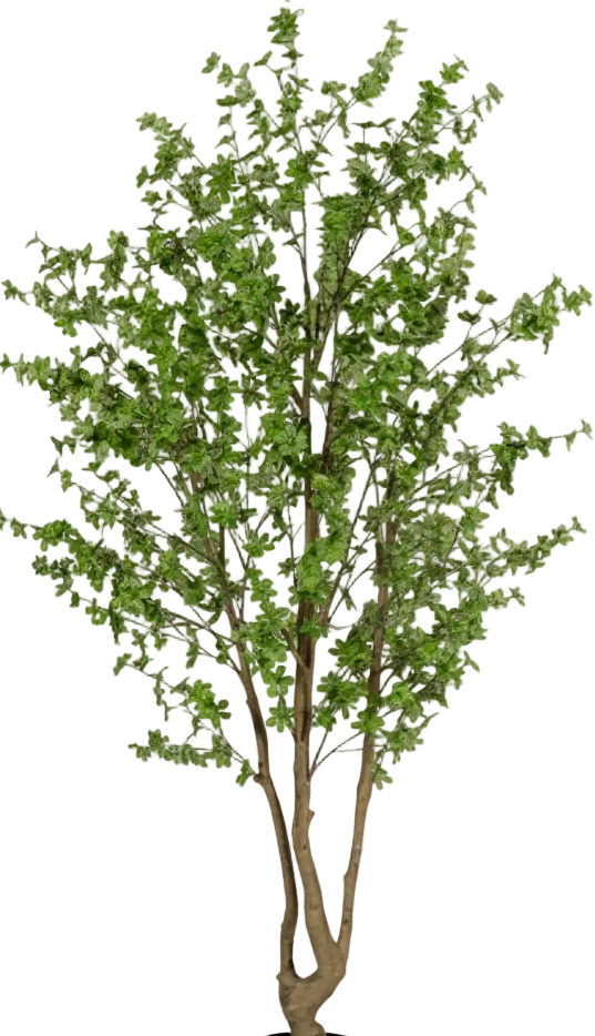 Japanese Andromeda (Life-like Artificial)