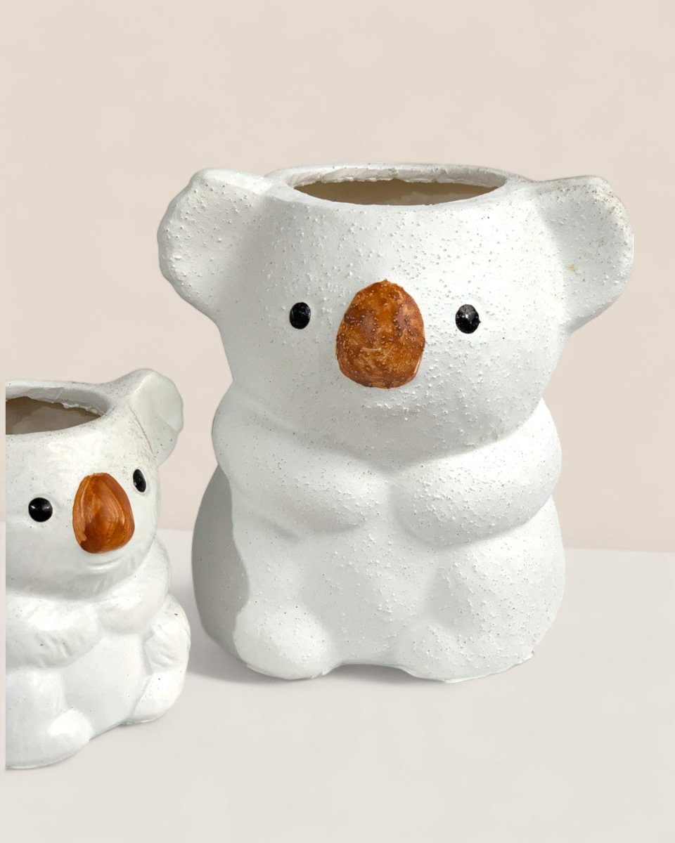 Koala Planters - short - Pot - Tumbleweed Plants - Online Plant Delivery Singapore