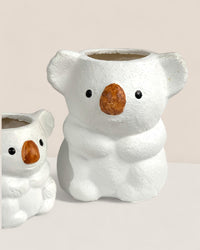 Koala Planters - short - Pot - Tumbleweed Plants - Online Plant Delivery Singapore