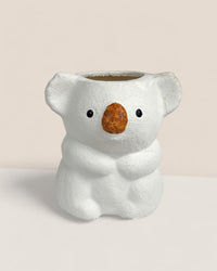 Koala Planters - tall - Pot - Tumbleweed Plants - Online Plant Delivery Singapore