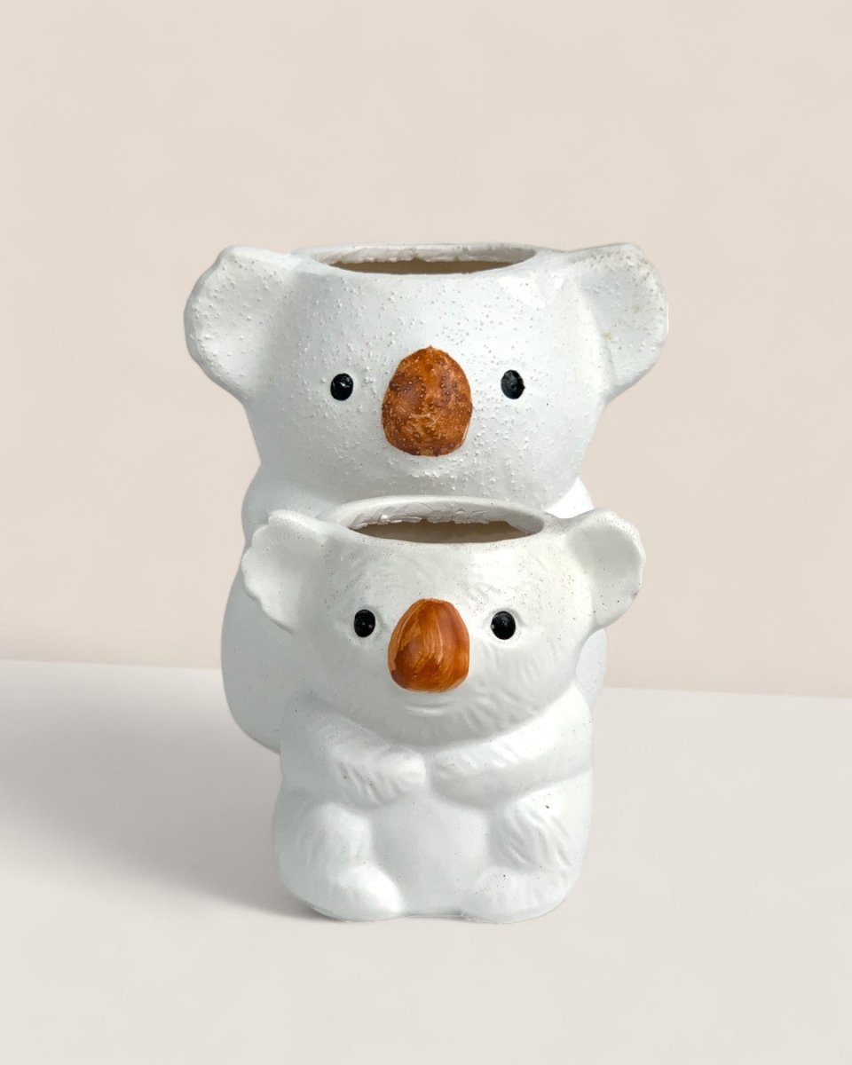 Koala Planters - tall - Pot - Tumbleweed Plants - Online Plant Delivery Singapore
