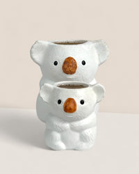 Koala Planters - tall - Pot - Tumbleweed Plants - Online Plant Delivery Singapore