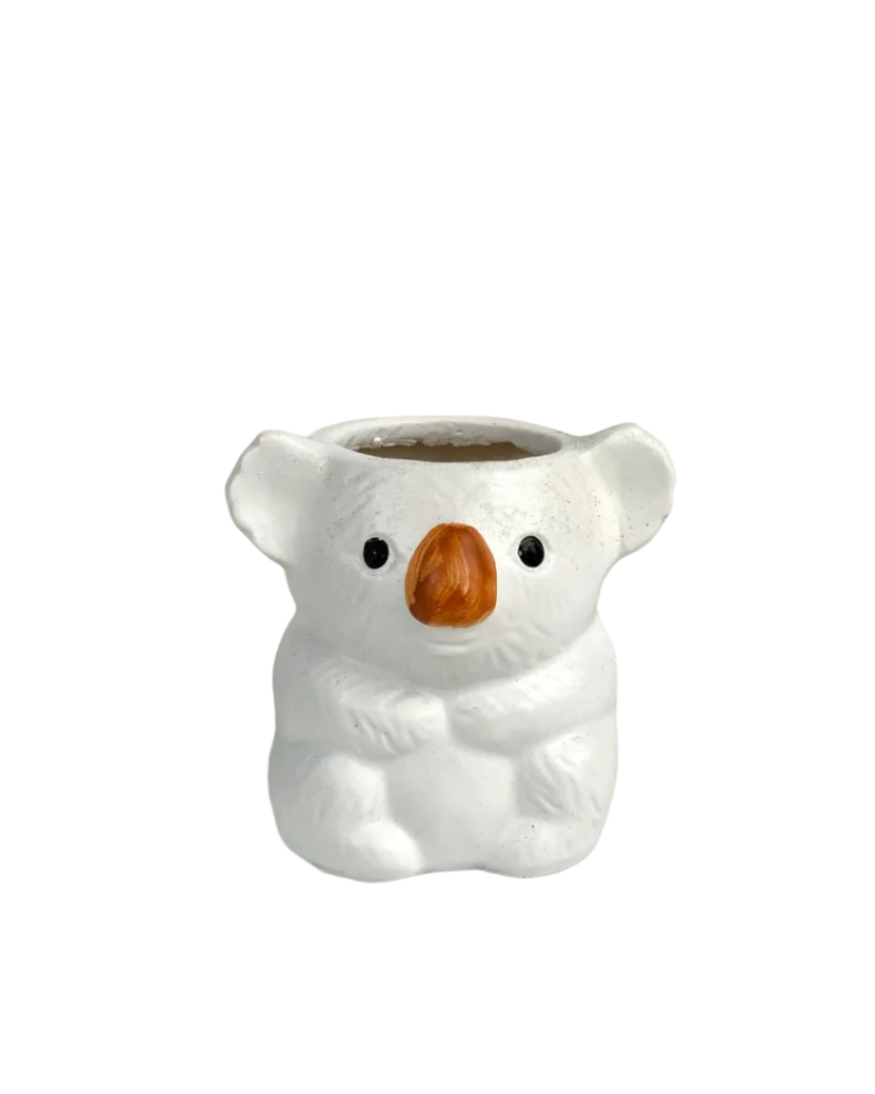 Koala Planters - Pots -  Tumbleweed Plants