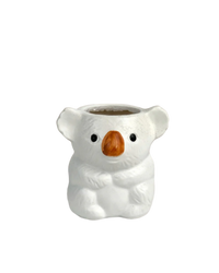 Koala Planters - Pots -  Tumbleweed Plants