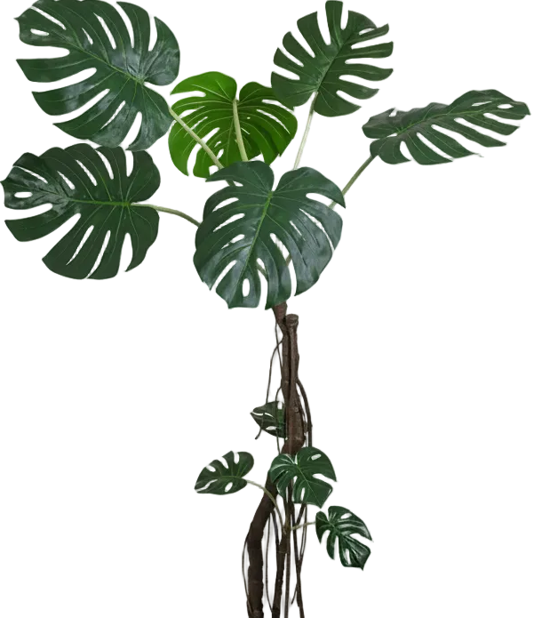 Large Monstera (Life-like Artificial)