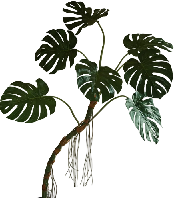 Large Monstera (Life-like Artificial)
