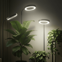 HALO Plant Light - XL - Plant Lights - 5826490026810 - Tumbleweed Plants - Online Plant Delivery Singapore