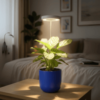 HALO Plant Lights - Stems - Plant Lights - 5843186099705 - Tumbleweed Plants - Online Plant Delivery Singapore