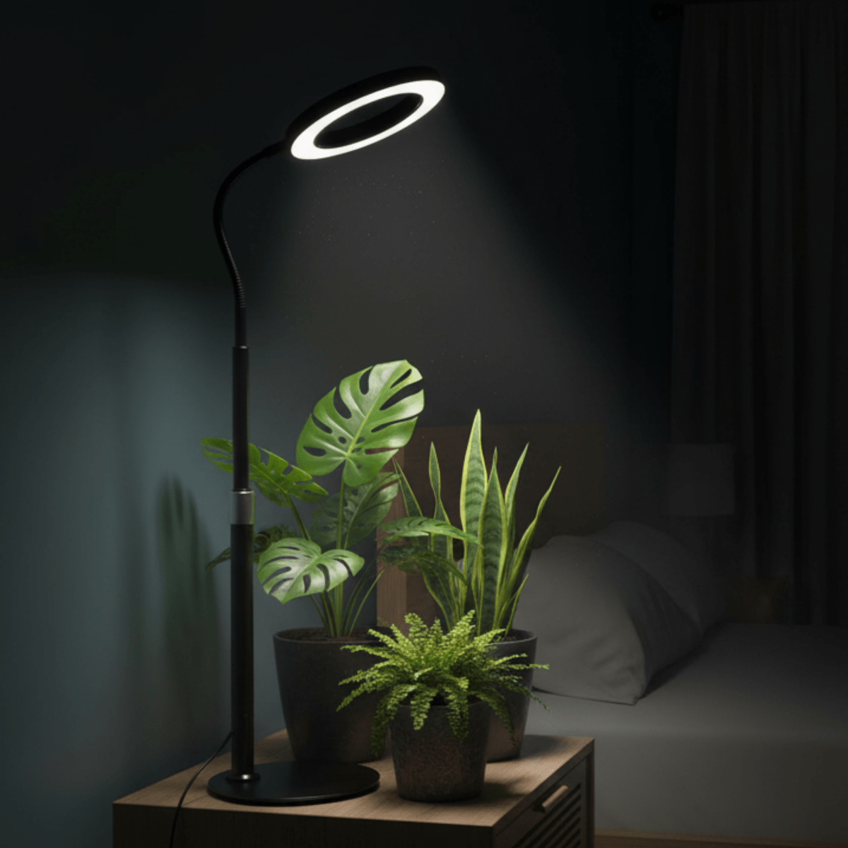 HALO Table Plant Lights - Plant Lights - 5653683746982 - Tumbleweed Plants - Online Plant Delivery Singapore