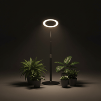 HALO Table Plant Lights - Plant Lights - 5653683746982 - Tumbleweed Plants - Online Plant Delivery Singapore