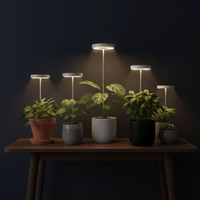HALO Plant Lights - Stems - Plant Lights - 5843186099705 - Tumbleweed Plants - Online Plant Delivery Singapore